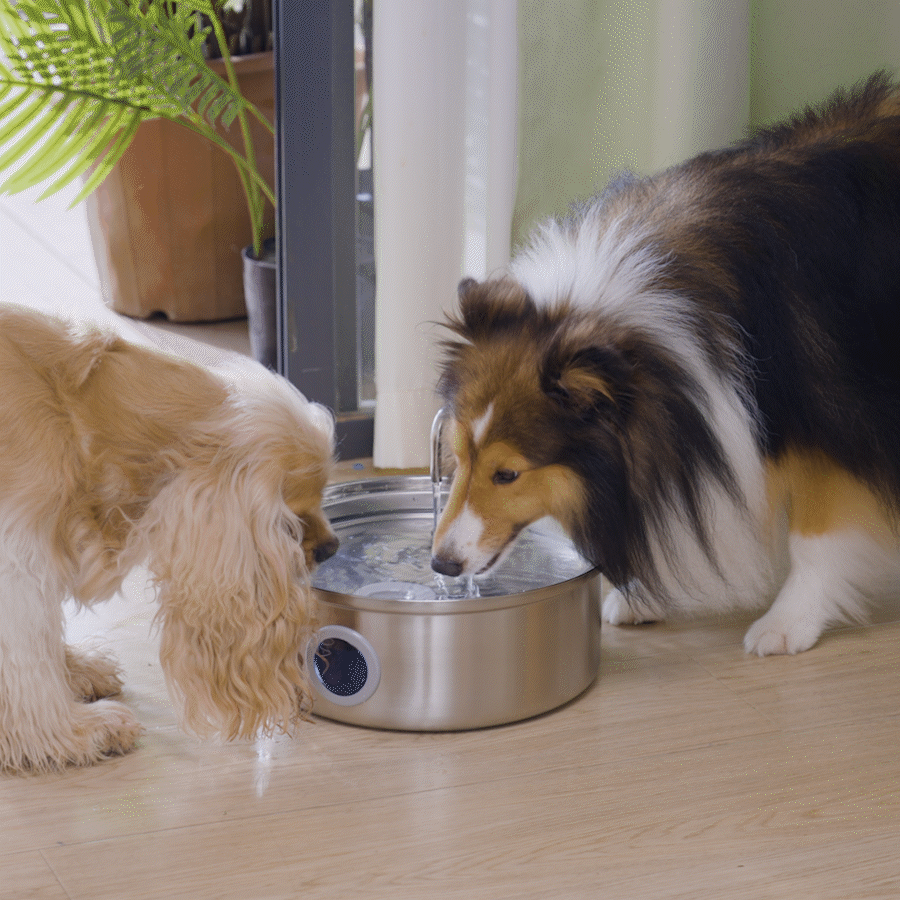 TheSmartLiving - 7L Pet Water Fountain with Visual Water Level
