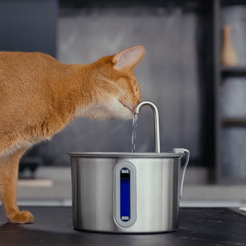 TheSmartLiving - 2L Cat Water Fountain with 3PCS Filters